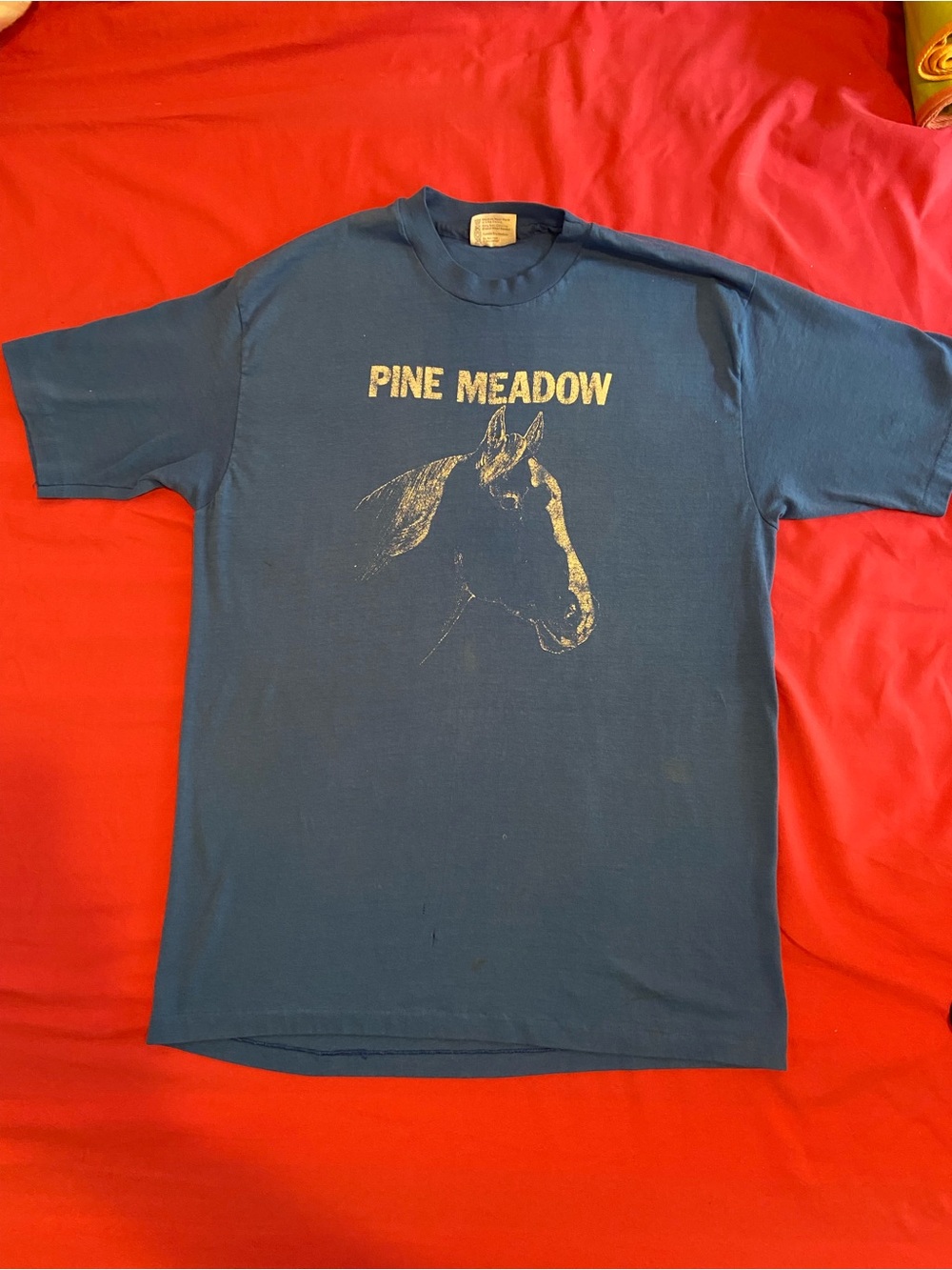 Vintage Blue 'Pine Meadow' Horse Graphic T-Shirt